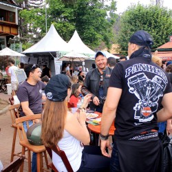 beer-fest-novas (14)